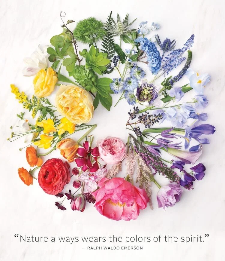 Color Theory in Arrangements